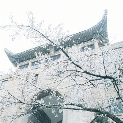 北京报告2新冠病例 夫妻曾往张家界旅游